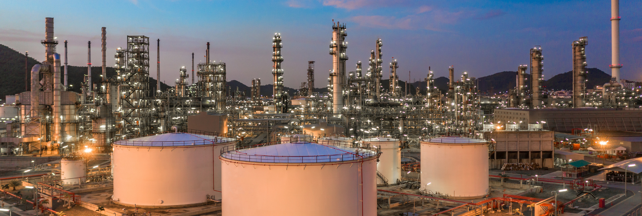 Turnaround Management | Audubon Companies