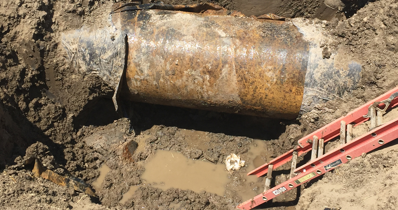 Waterline Integrity Assessment